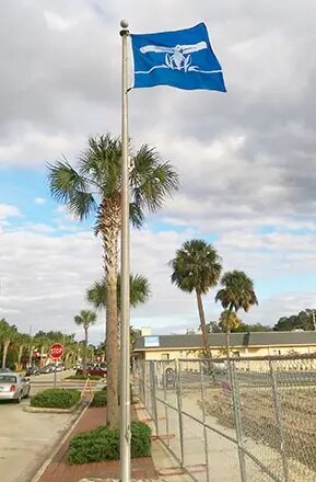 City Of Tavares Custom Flag