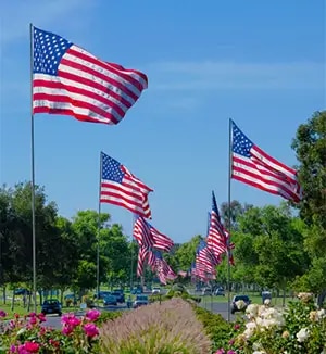 American Flags