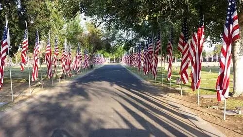 Avenue of Flags