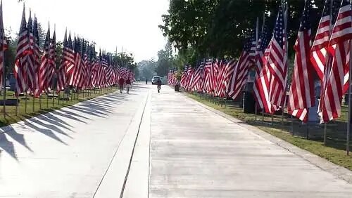 Avenue of Flags