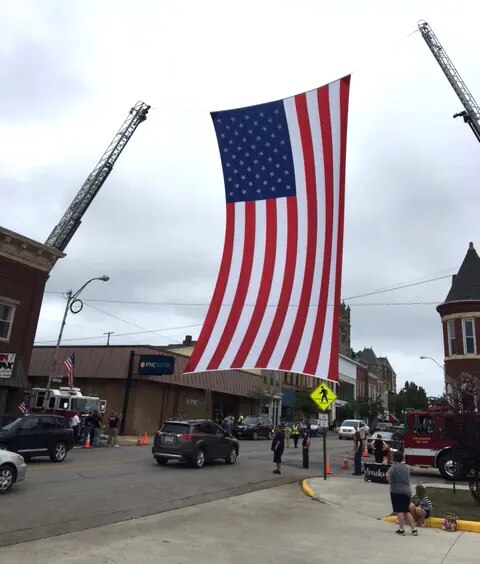 Large Crane Flag