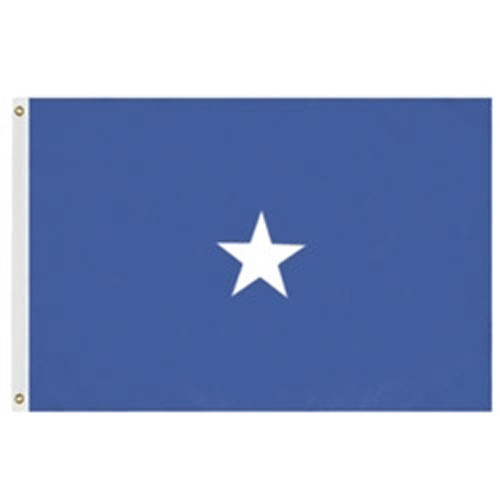 Air Force 1 Star General Flag