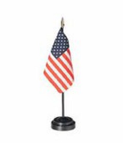 Polyester Diplomat U.S. Flag Set