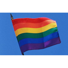 Mini Gay Pride Flag