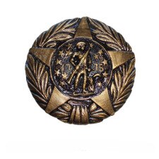 military medal with star design