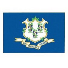3x5' Nylon Connecticut Flag Banner