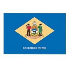 3' X 5' Nylon Delaware Flag Banner