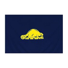 Banner Flag Oregon