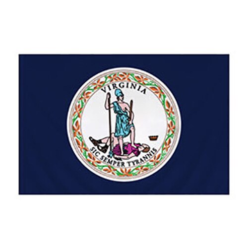Virginia Flag with Pole Sleeve
