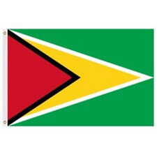 Guyana Flag 2' X 3' Nylon