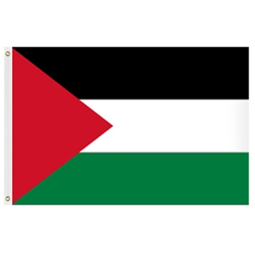 Palestine Flag 2' X 3' Nylon