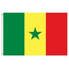 Senegal Flag 2' X 3' Nylon