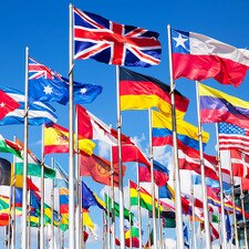 2'X3' UN Members Flag Set Nylon