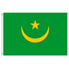 Mauritania flag green yellow design