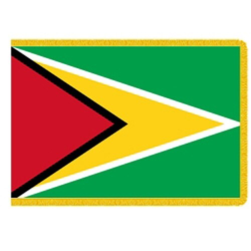 Flag of Guyana with triangular desi