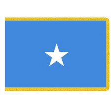 flag with blue background and star