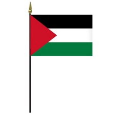 Palestinian flag with triangle