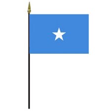 blue flag with white star