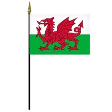 Welsh flag with red dragon design