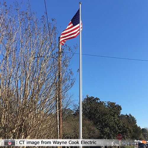 USA flag flying beside trees