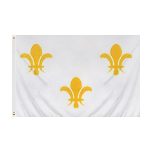 white flag with yellow fleur de lis