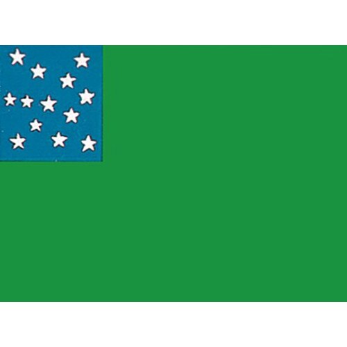 green flag with blue star field