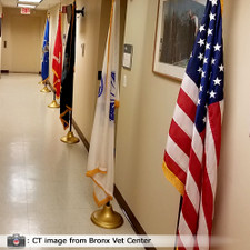 Brigadier™ Indoor U.S. Flag Set