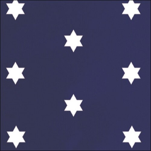 Washington Commander In Chief Flag 3'X5' Nylon | Carrot-Top Flags