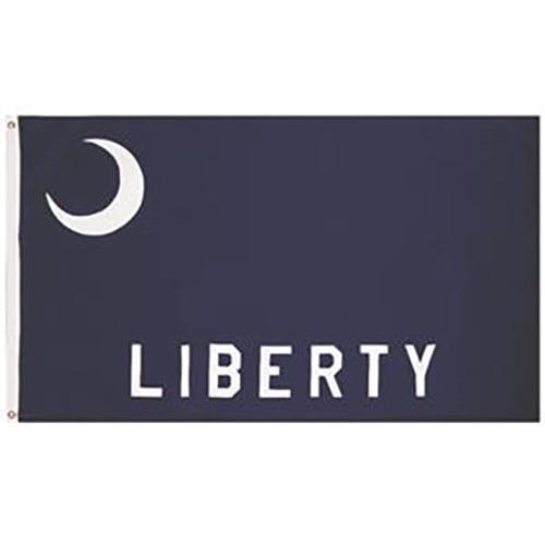 Fort Moultrie Flag 3'X5' Nylon