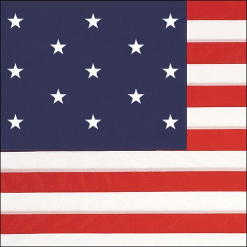 13 Star US Flag