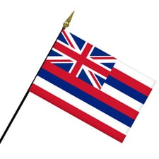 Mini Hawaii Flag