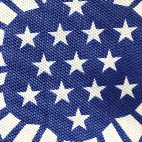 Outdoor Coast Guard Flag Emblem