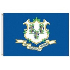 Outdoor Connecticut Flags