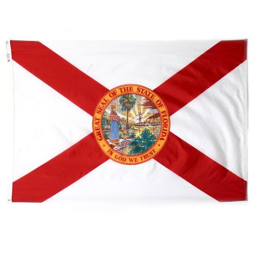 Outdoor Florida State Flags CarrotTop Flags