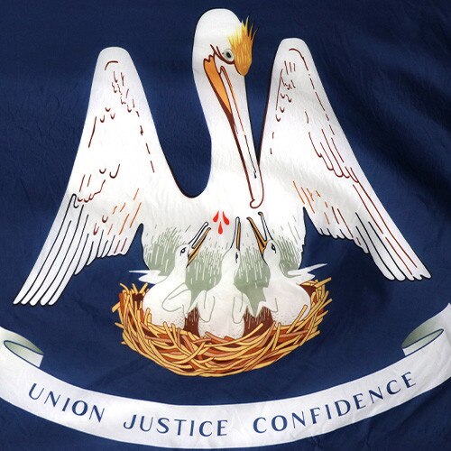 Louisiana state flag design detail