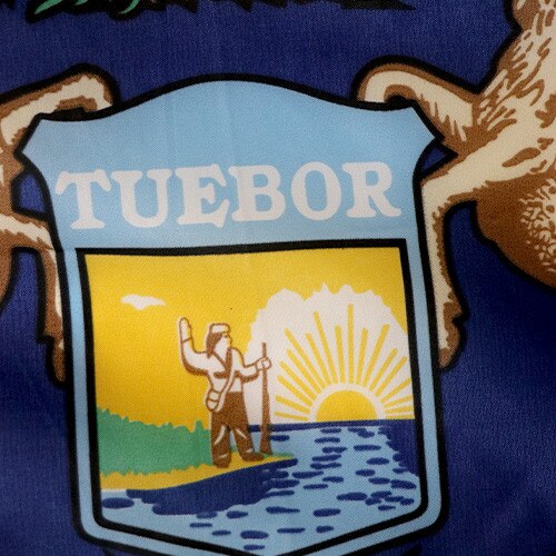 Michigan Flag Emblem