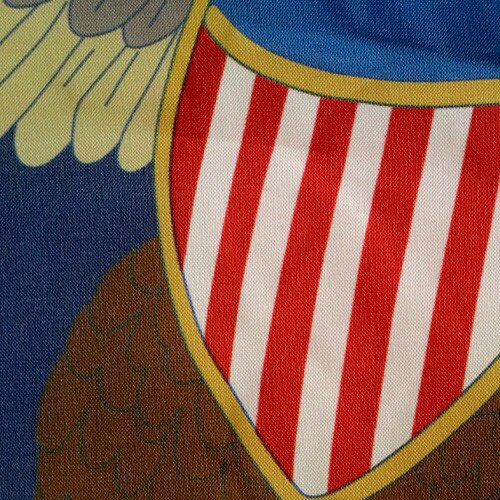 Close up of the North Dakota Flag