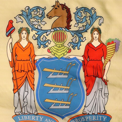 New Jersey Flag Emblem