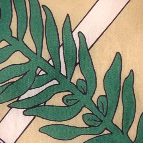 Outdoor Oklahoma flags