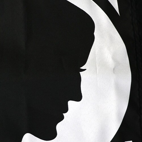 POW/MIA emblem up close