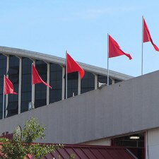 Solid Color Pennants on Poles