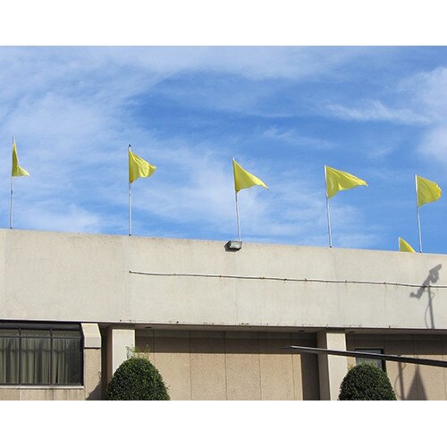 Yellow Color Pennants