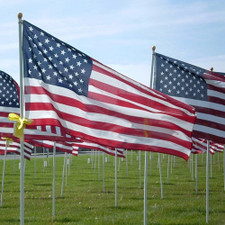 Sun-Glo® American Nylon Flags