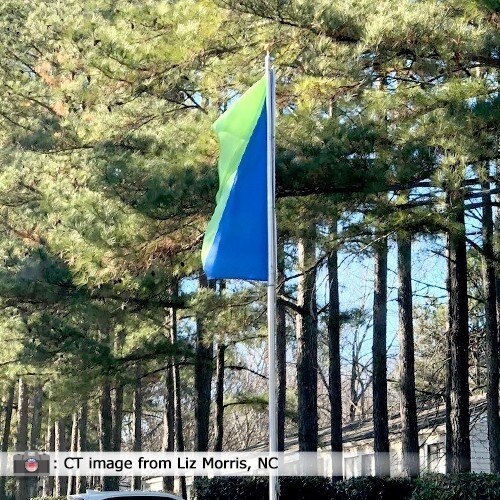 green and blue flag in forest