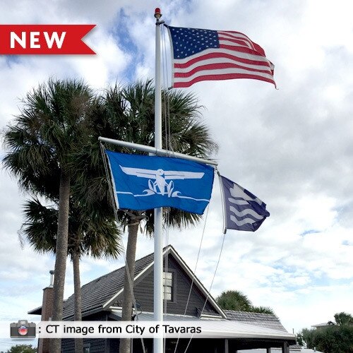 flags flying at town hall