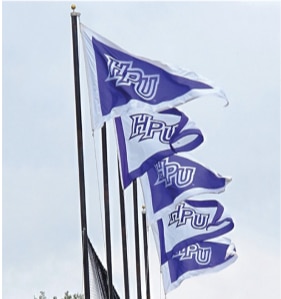 Pennant Flags