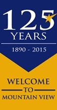 Anniversary Street Banner