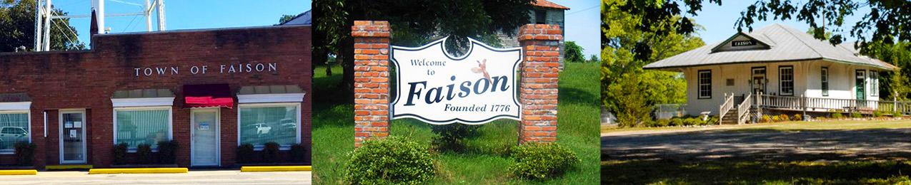 Places in Faison, NC