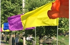 Solid Color Flags