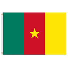 Cameroon flags